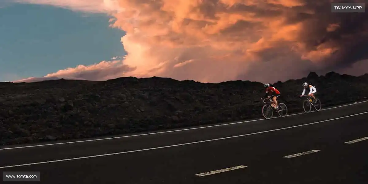 行业领先的理由